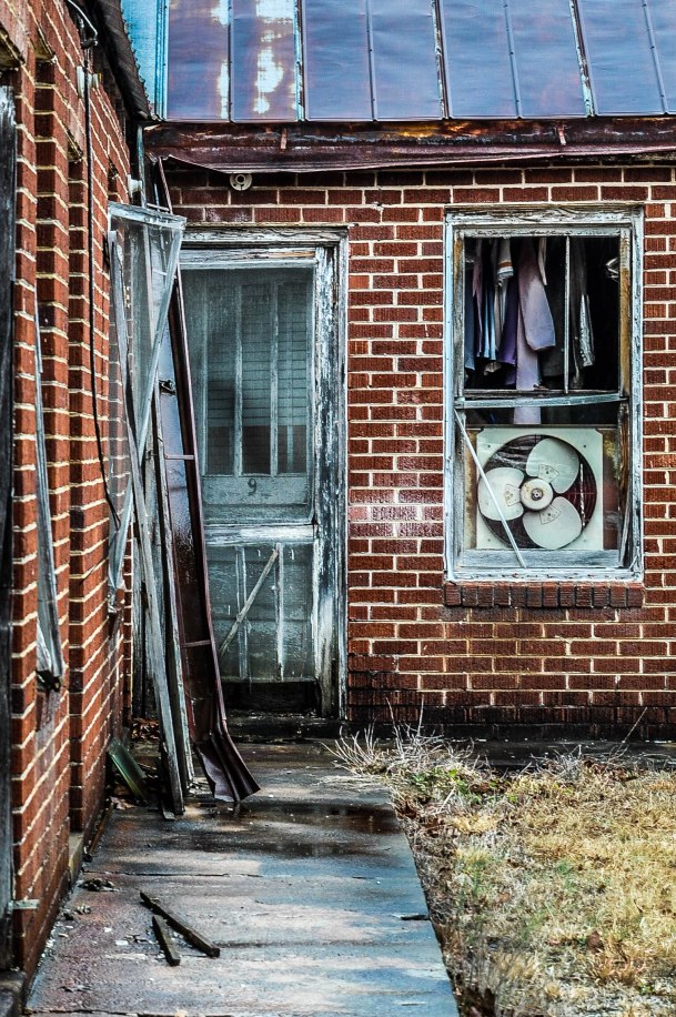 One of the few amazing pictures A took...