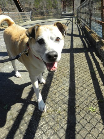 Ferocious fur baby- you can see the name fits...